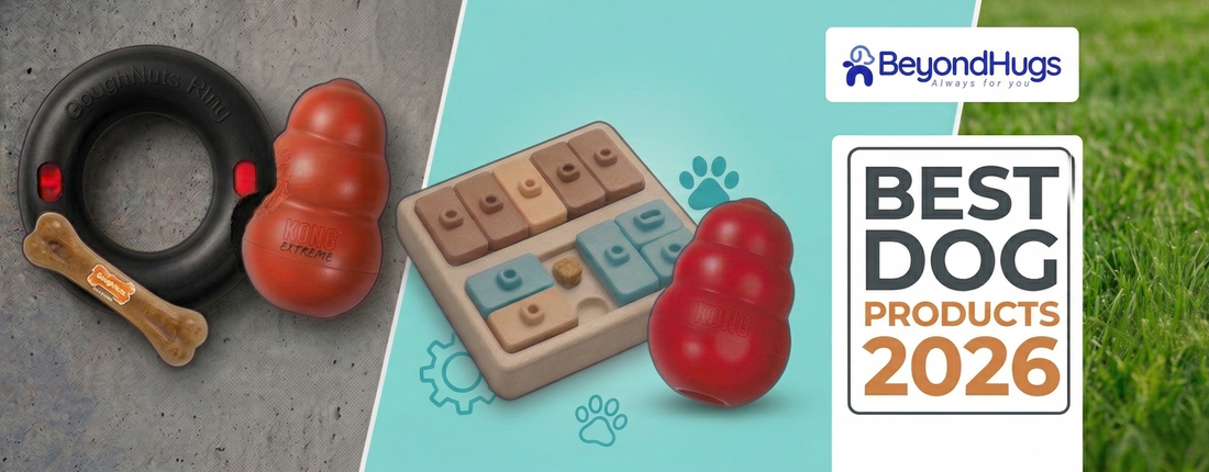 12 Best Top Rated Dog Products 2026: The Ultimate UK Buyer’s Guide