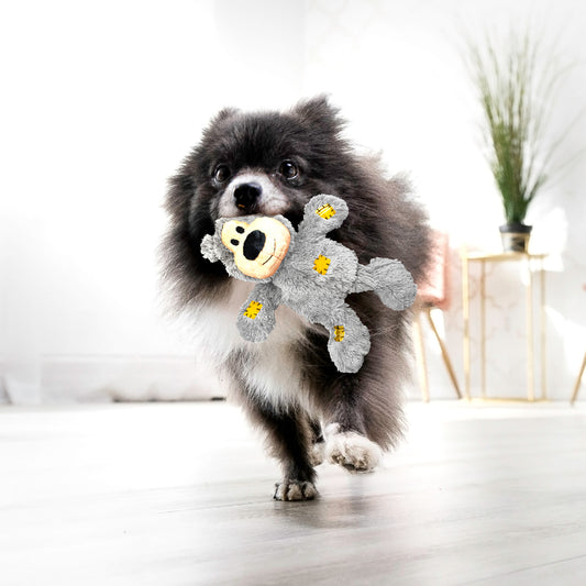 Day playing with KONG Wild Knots Bear durable plush toy