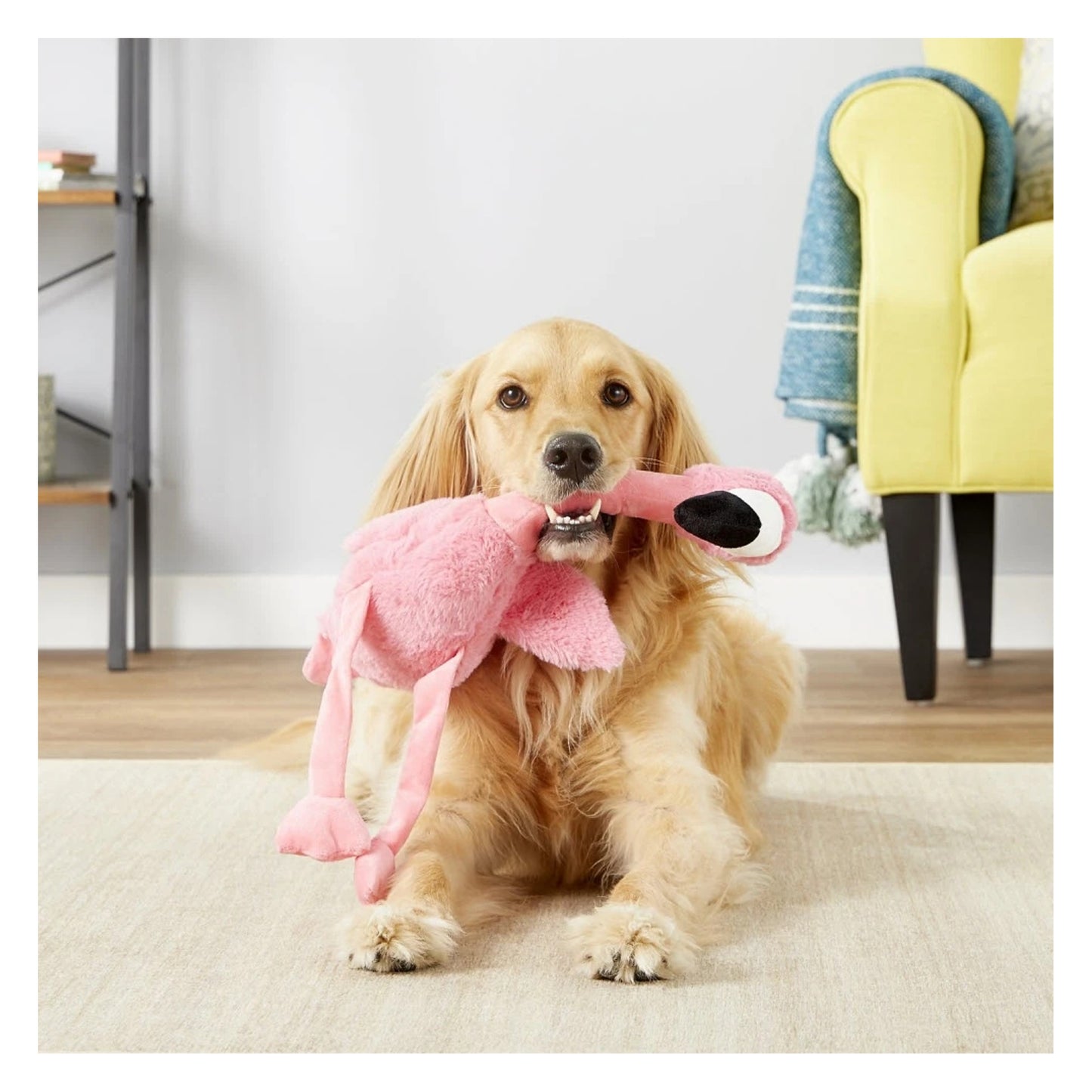 KONG Shakers Honkers Flamingo Small Dog Toy for Tugging