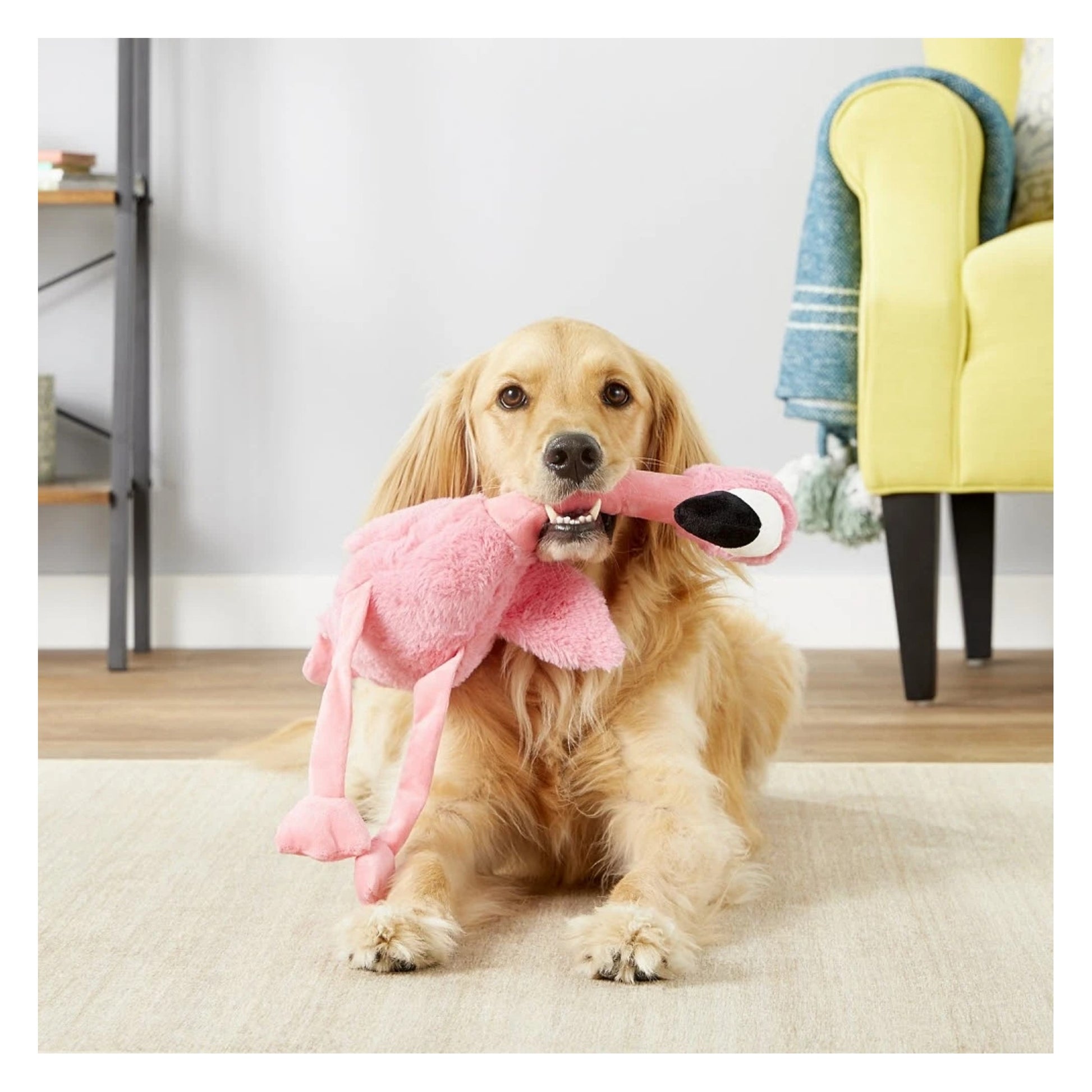 KONG Shakers Honkers Flamingo Small Dog Toy for Tugging