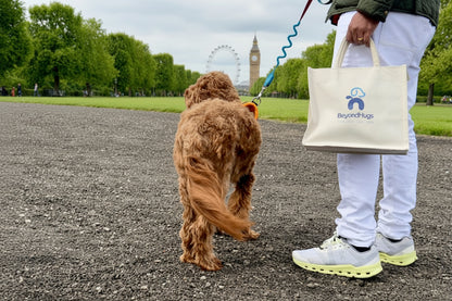 Eco-friendly dog poo bag holder with designer pattern