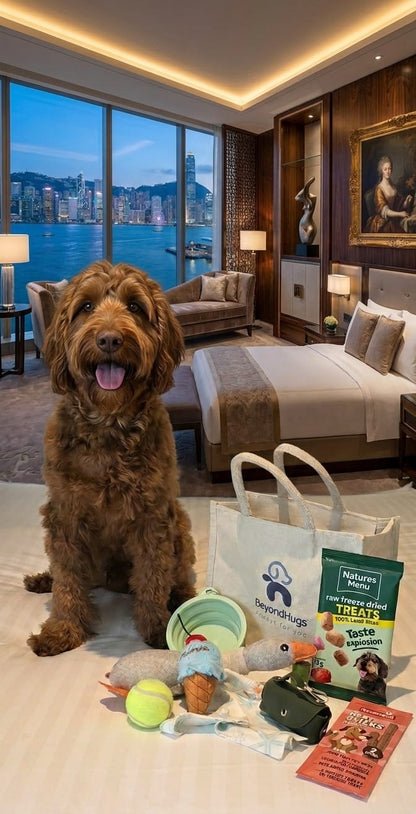 BeyondHugs Dog Travel Kit containing treats, toys, and travel bowl