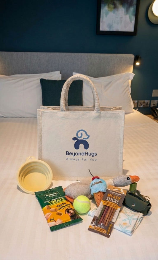 BeyondHugs Dog Travel Kit with collapsible bowl and treats
