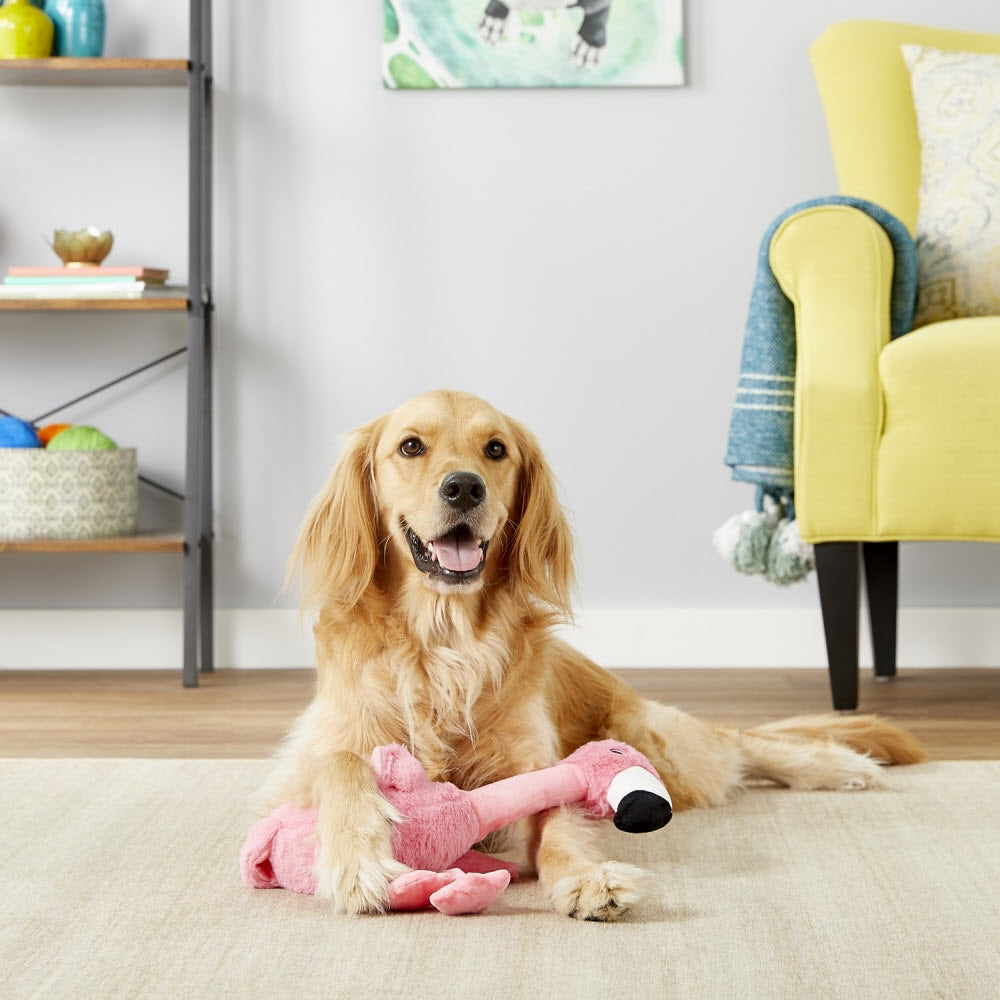 KONG Shakers Honkers Flamingo Small Dog Toy for Tugging